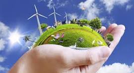 Environment & Sustainability